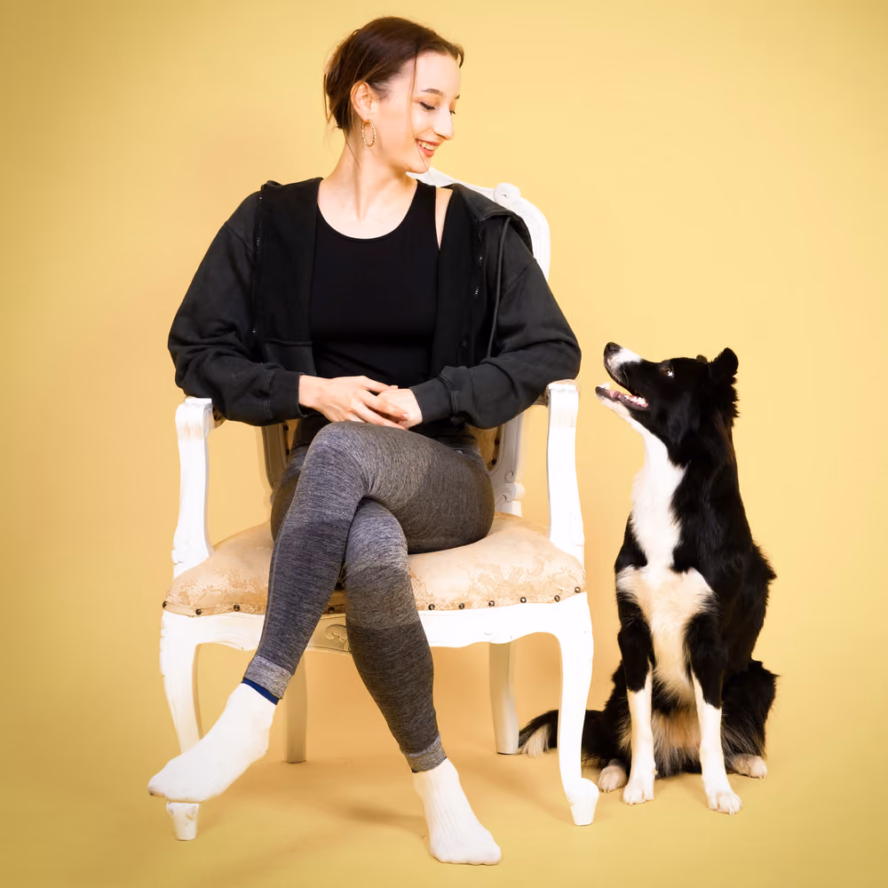 Sahibine odaklanan köpek – itaat eğitimi